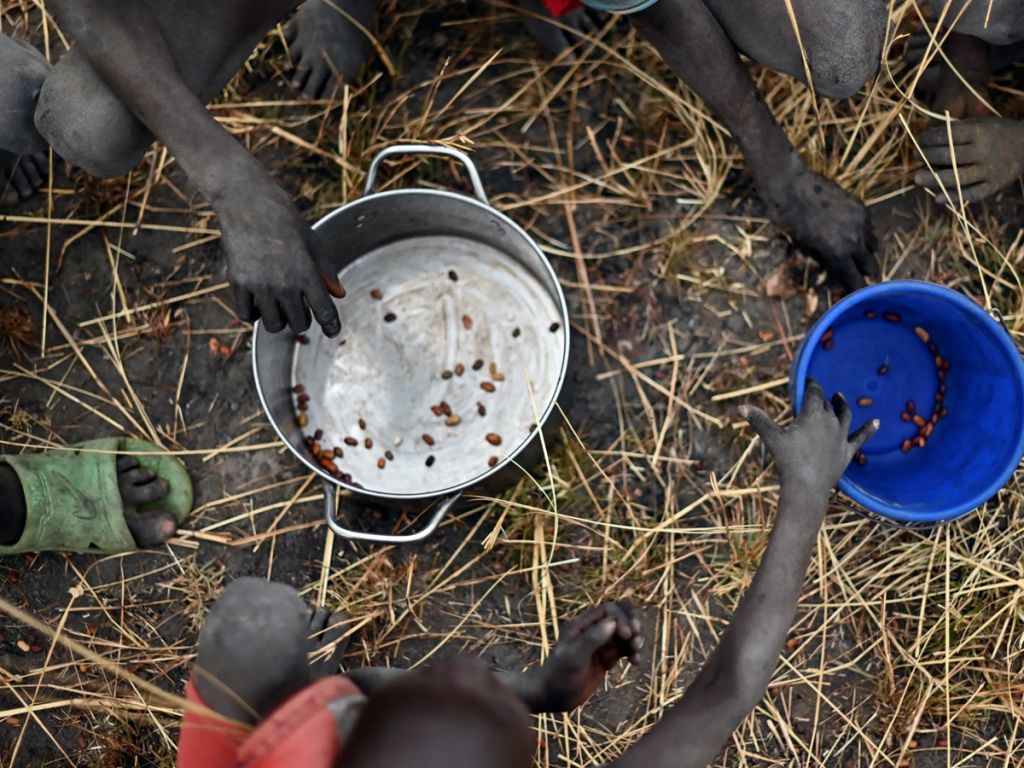 15 Nations Unite to Address Food Crisis in Sudan