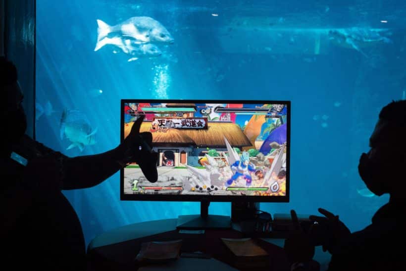 Africa's Casual Gaming Market Drives Billion-Dollar Growth