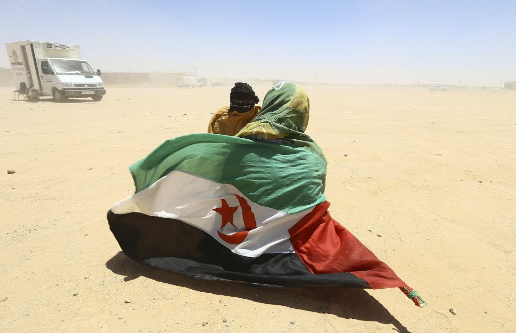 Algeria Recalls Ambassador Over France's Support for Morocco on Western Sahara