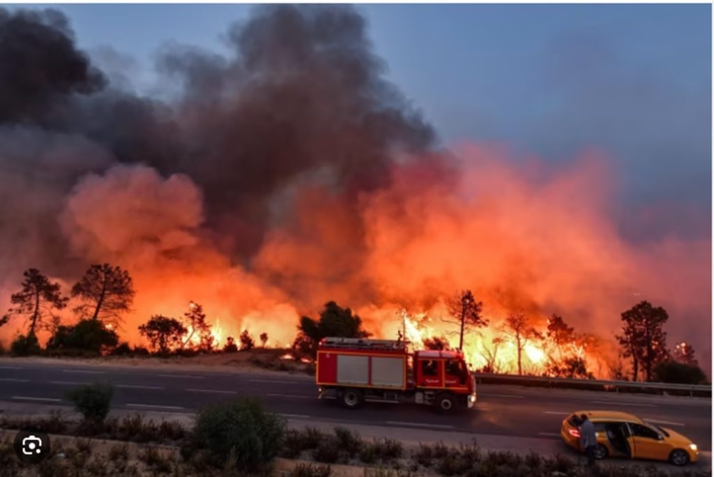 Algerians Evacuate as Wildfires Ravage Northeast Region