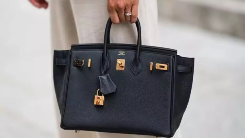 Birkin Bag (News Central TV)