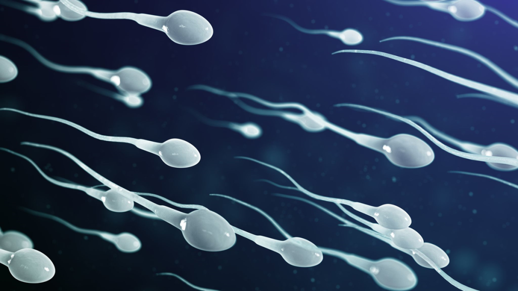 Britain Offers Free Sperm Analysis to Talk Low Sperm Donations