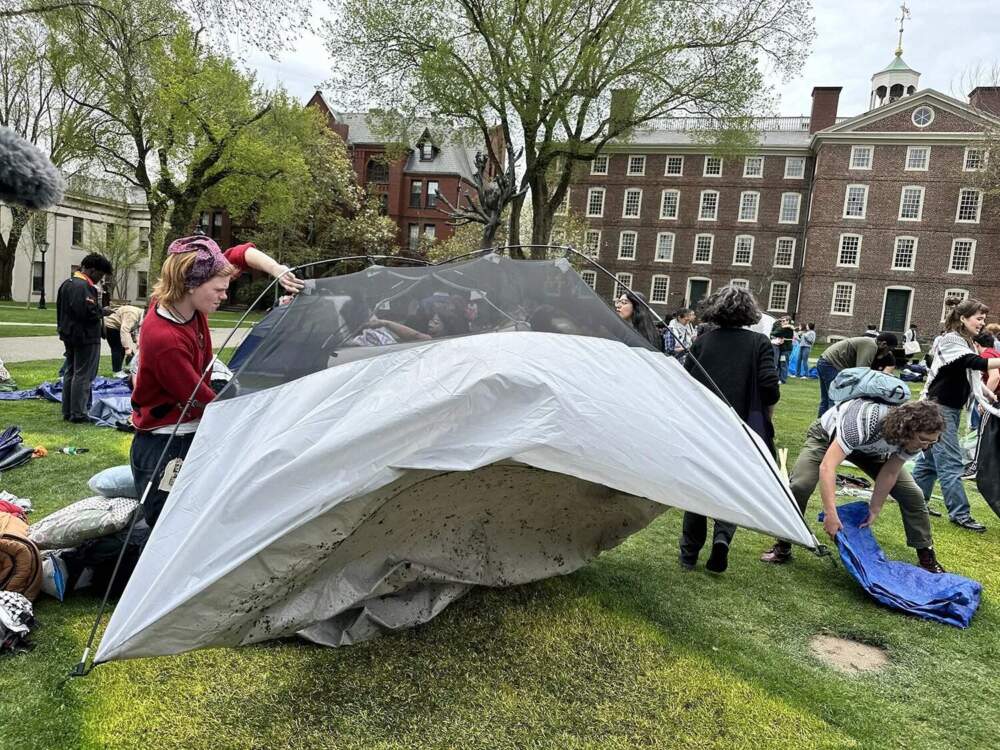 Brown University Agrees to Israel Divestment Vote, Ending Student Encampment Protests