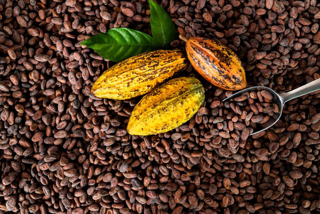 Cocoa Beans (News Central TV)