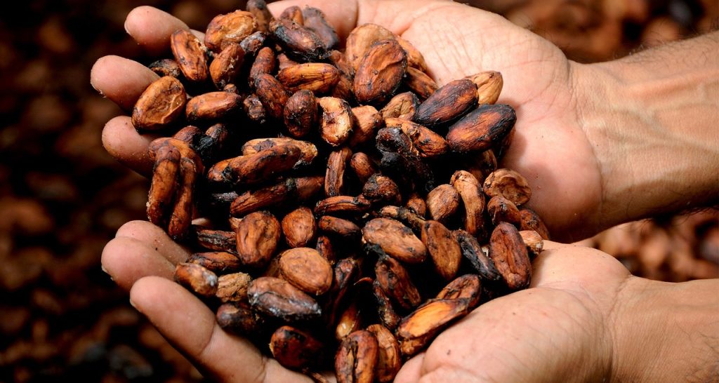 Cocoa Market Growth Drives S&P Rating for Cote d'Ivoire