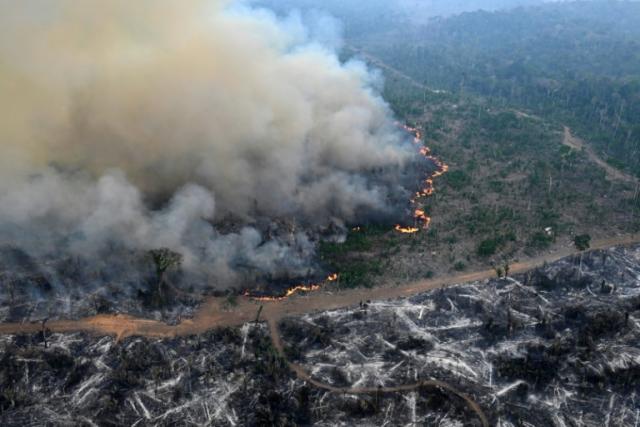 Deforestation Fuels Record Fires as Amazon Loses Land Equivalent to Germany and France