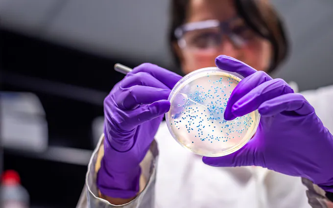 Drug-Resistant Superbugs Could Kill 39 Million by 2050, New Study Warns