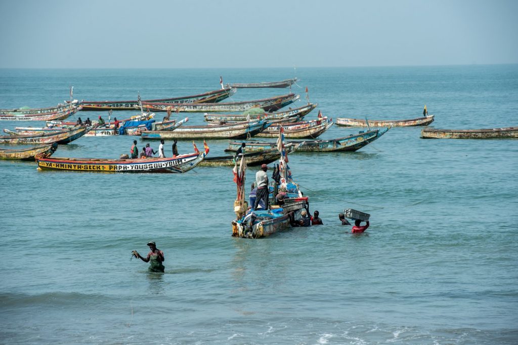 EU Fishing Vessels to Halt Operations in Senegal Following Agreement Expiry