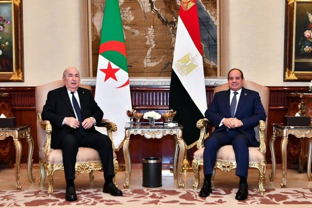 Egypt and Algeria Unite in Opposing Foreign Influence in Sudan, Libya