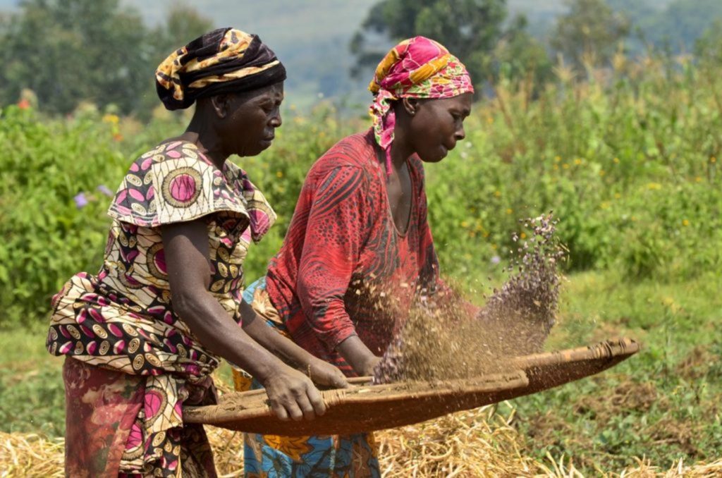 IDRW: Rural Women Sustaining Nature for Our Collective Future