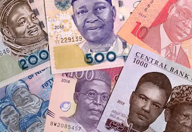 Inflation to Drop to 24.7%, Naira to Average N1,300/US$1 in 2025 – NESG