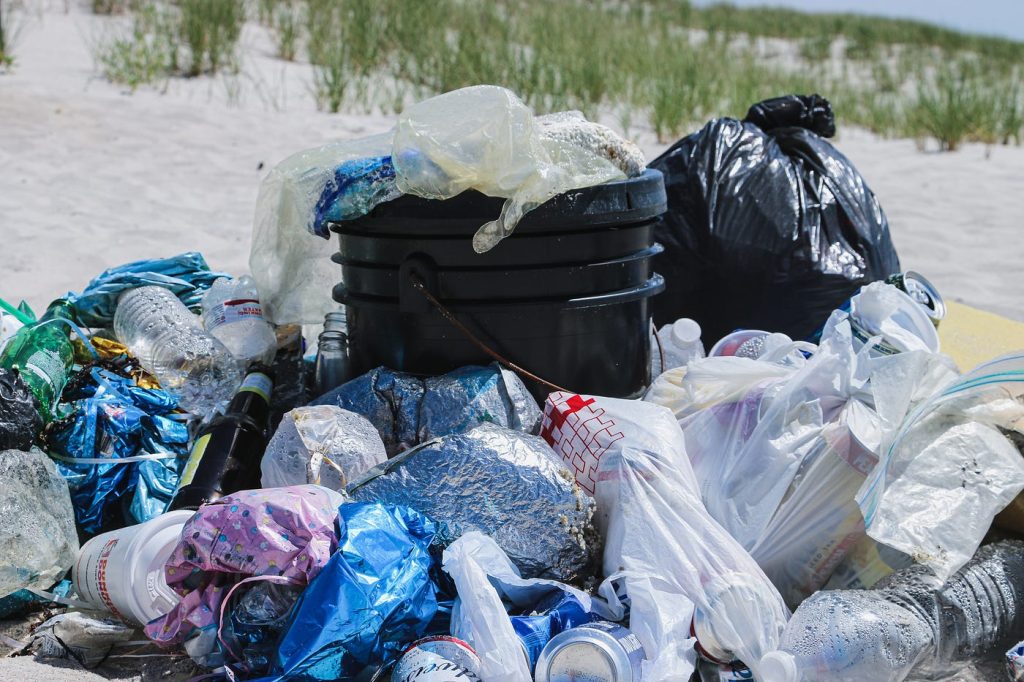 Kenya Bans Plastic Bags for Organic Waste