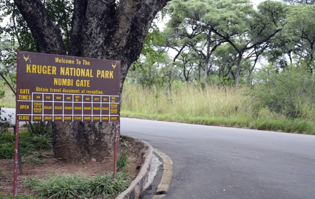 Leopard Injures Two at South African Air Force Base Near Kruger Park