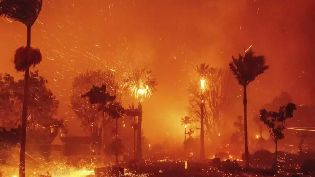 Los Angeles Wildfire Devastation Leaves Evacuated Residents in Shock