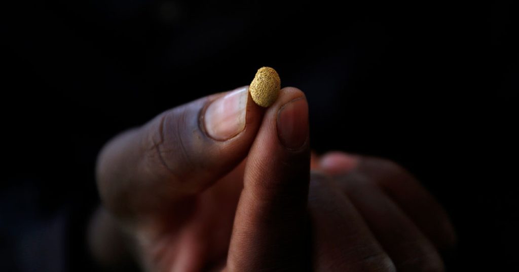 NGO Raises Alarm Over Smuggling of African Gold Worth Billions