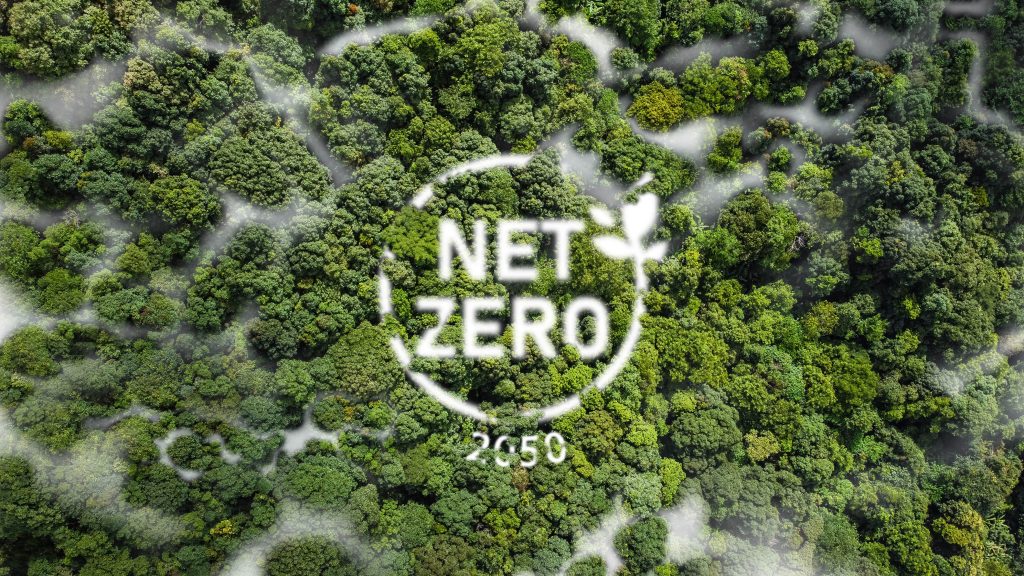 Net Zero Integrity Threatened by Misuse of Natural Carbon Sinks, Warn Scientists