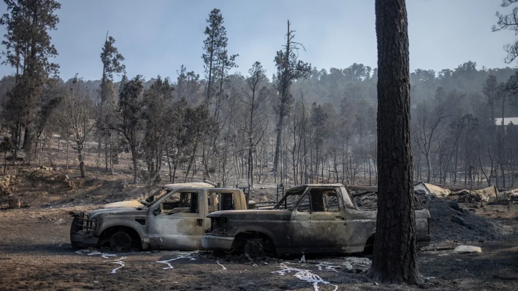 New Mexico Wildfires (News Central TV)