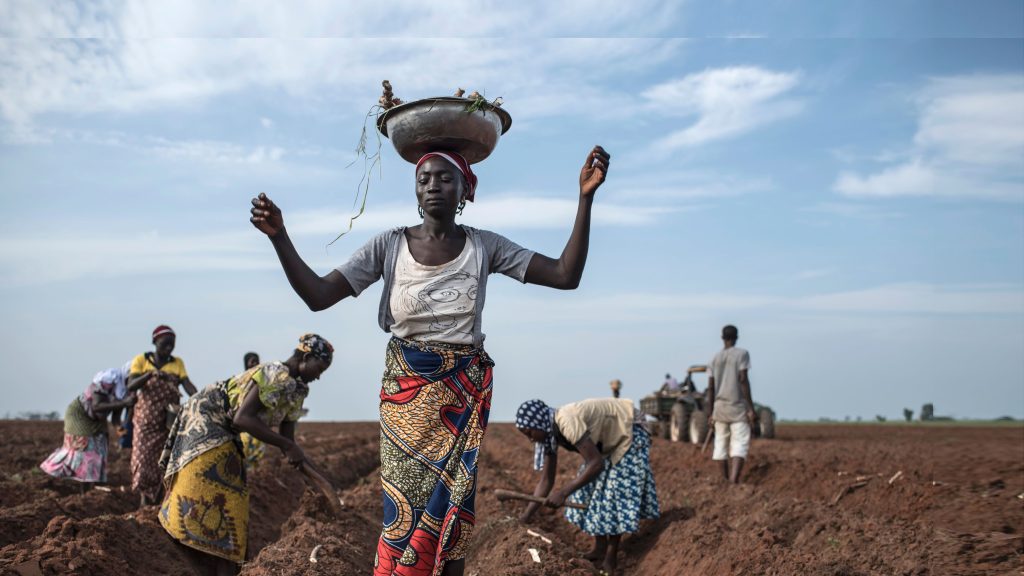 Nigeria, UN Forge Stronger Alliance to Tackle Food Security Challenges