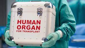 Nigeria's Health Ministry Condemns Alleged Kidney Trafficking