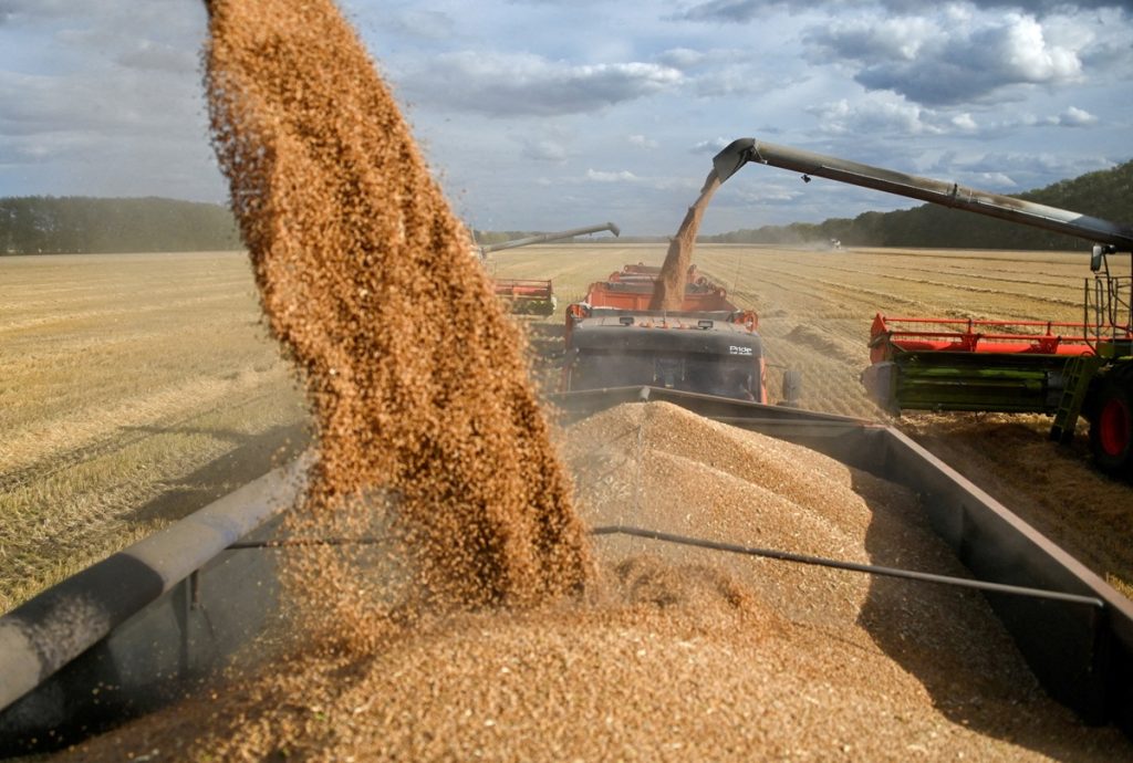 Russian Grain Gains Ground in African Markets