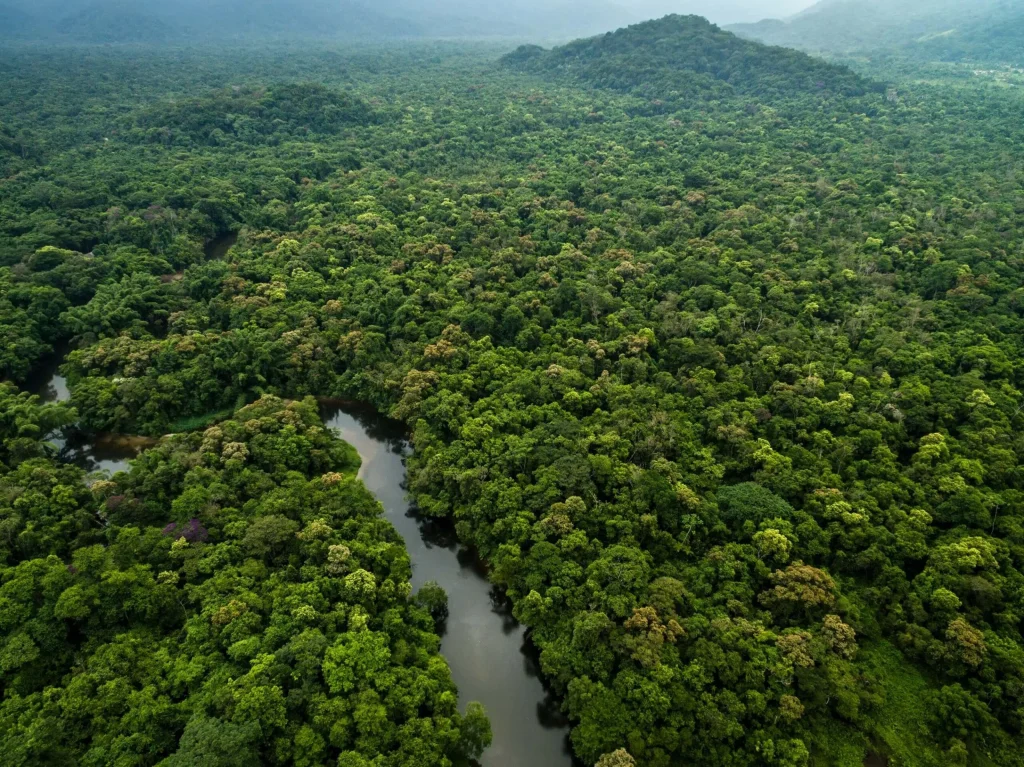 Severe Drought Causes Amazon River to Drop by 90% in Colombia