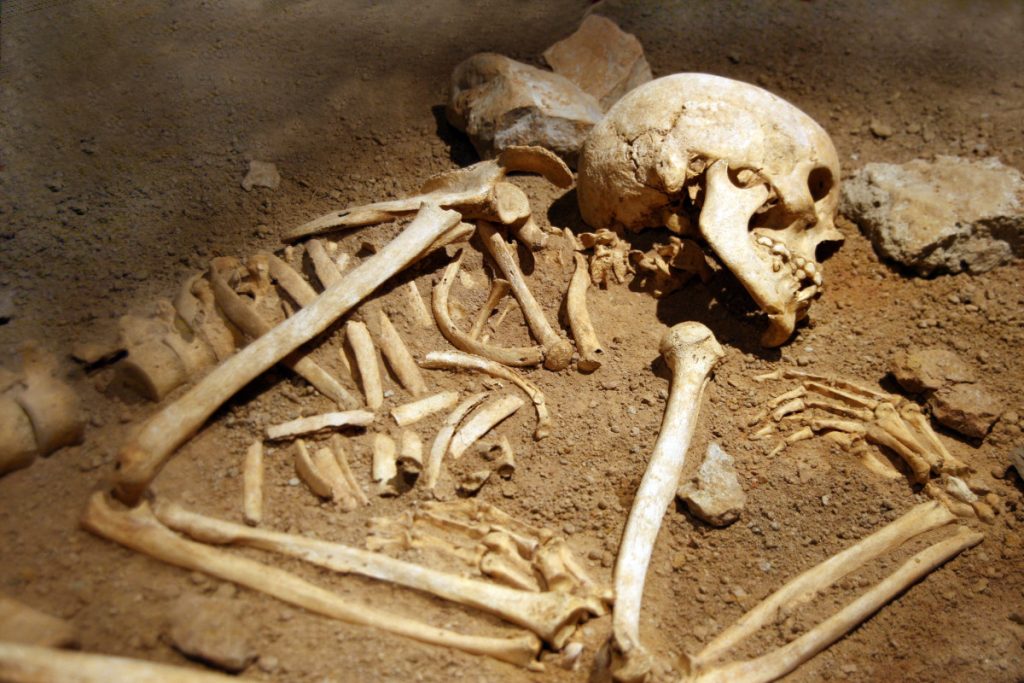 Skeleton of Missing Frenchman Discovered in Attic After 15 Years