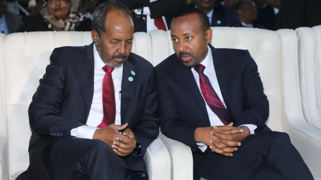 Somali PM Accuses Ethiopia of Violating Territorial Integrity Over Somaliland Deal