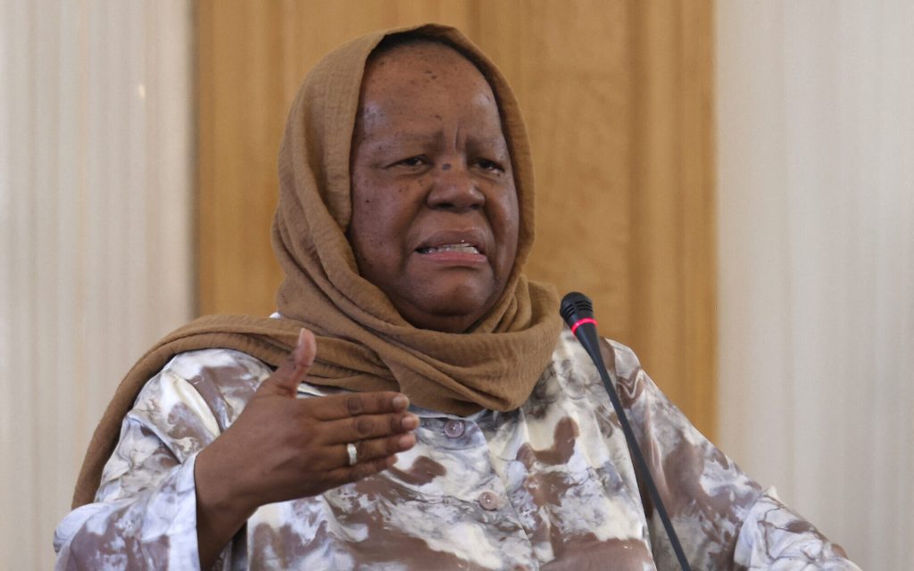 South African Foreign Minister Pandor Denies Representing Hamas Amid Israel Accusations