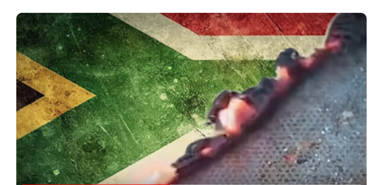 South African President Condemns Flag-Burning Election Advert