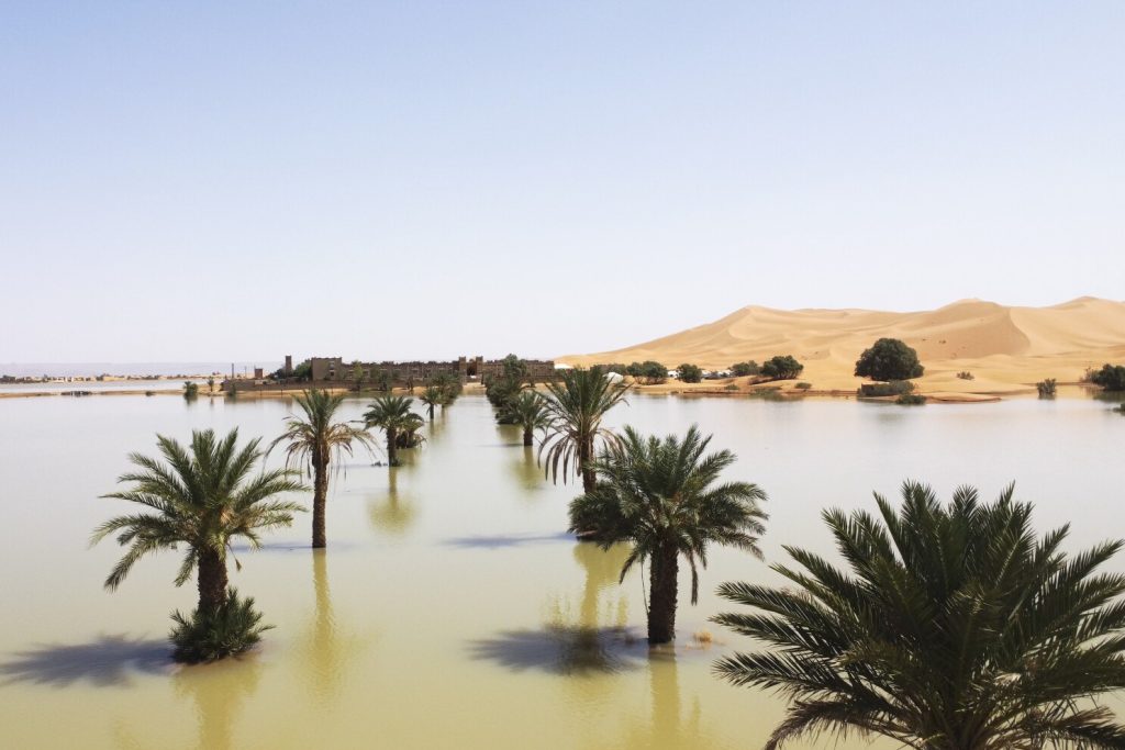 Torrential Rains Revive Morocco’s Desert, Bringing Lakes and Wildlife Back