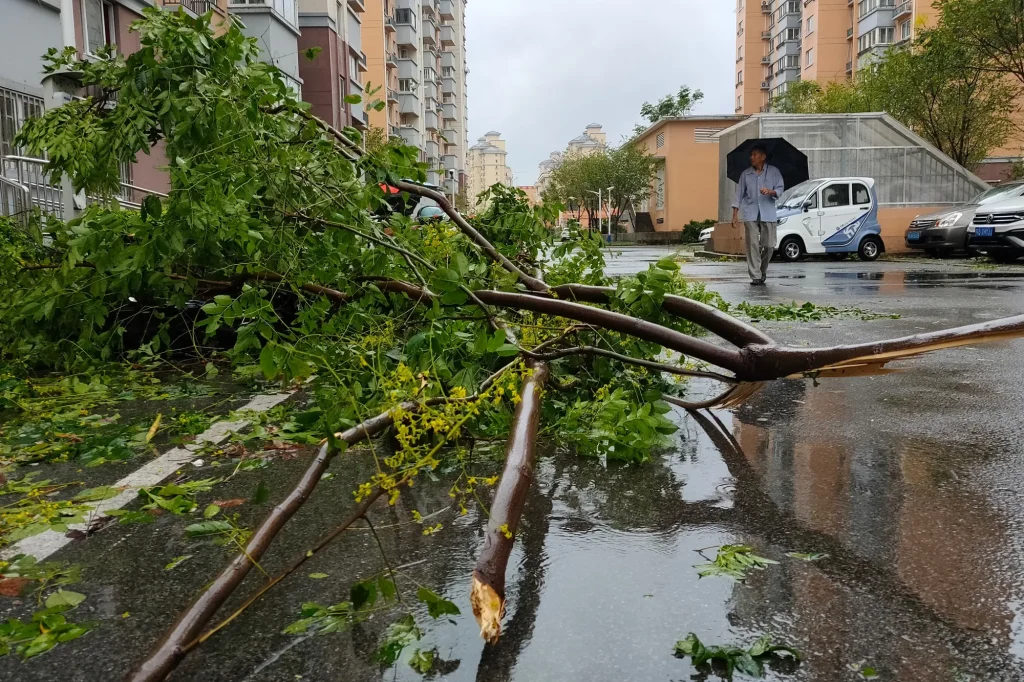 Typhoon Pulasan Hits Shanghai Days After Major Storm