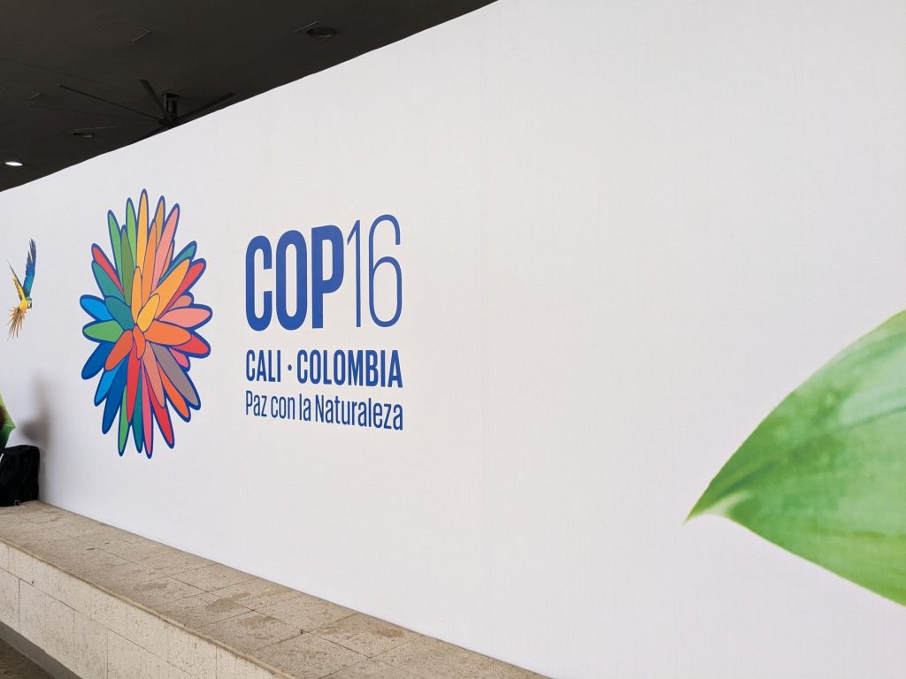 UN Announces Resumption of COP16 Biodiversity Talks in February