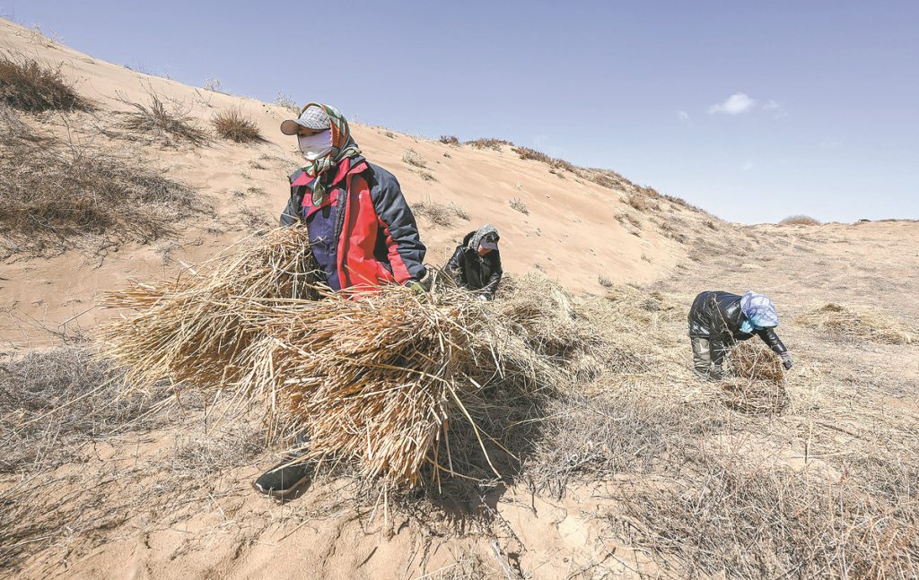 UN Desertification Talks Open in Saudi Arabia as Warnings Mount