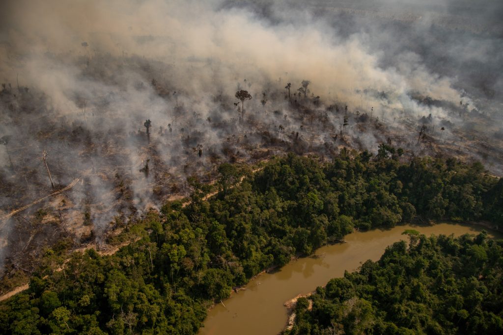 UN Urges Action as Farming, Deforestation Push Earth to the Brink