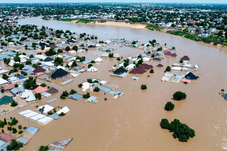 WHO Pledges Coordinated Support for Flood-Hit Borno State