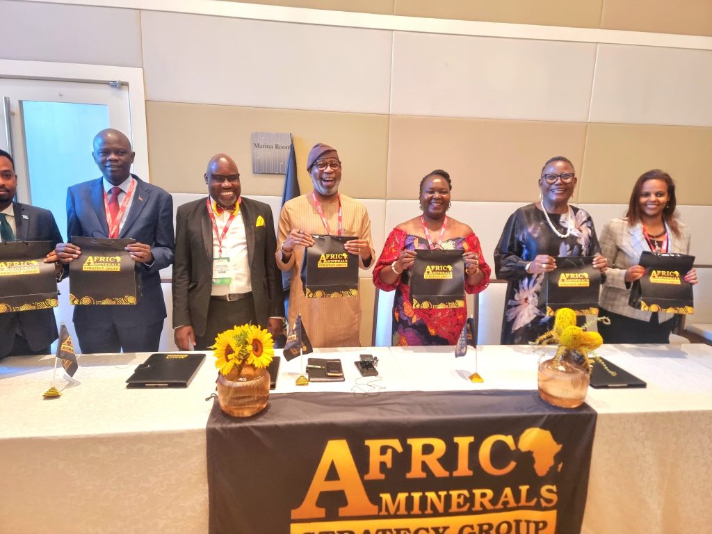 African Leaders Urged to Unite for the Continent's Resource Development