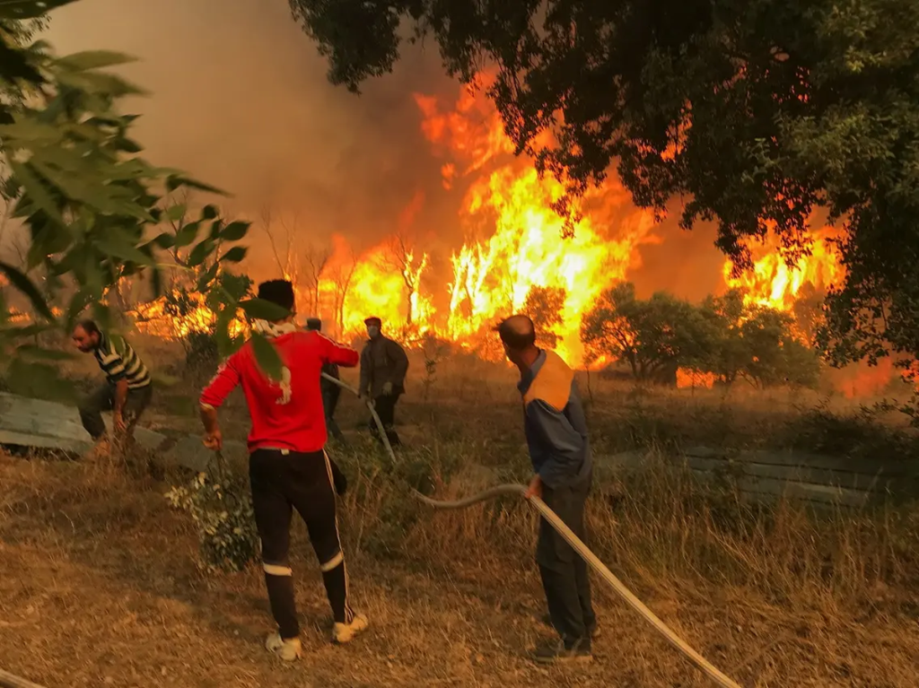 Algerians Evacuate as Wildfires Ravage Northeast Region