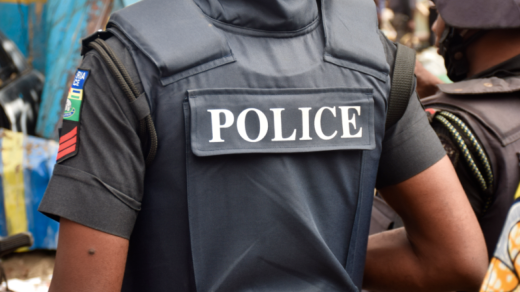 Anambra State Police Apprehend Criminals, Seize Firearms