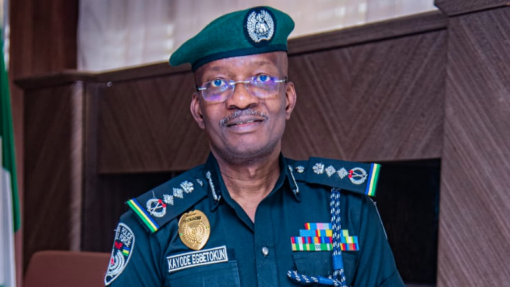 IGP Kayode Egbetokun, August 1 Protest