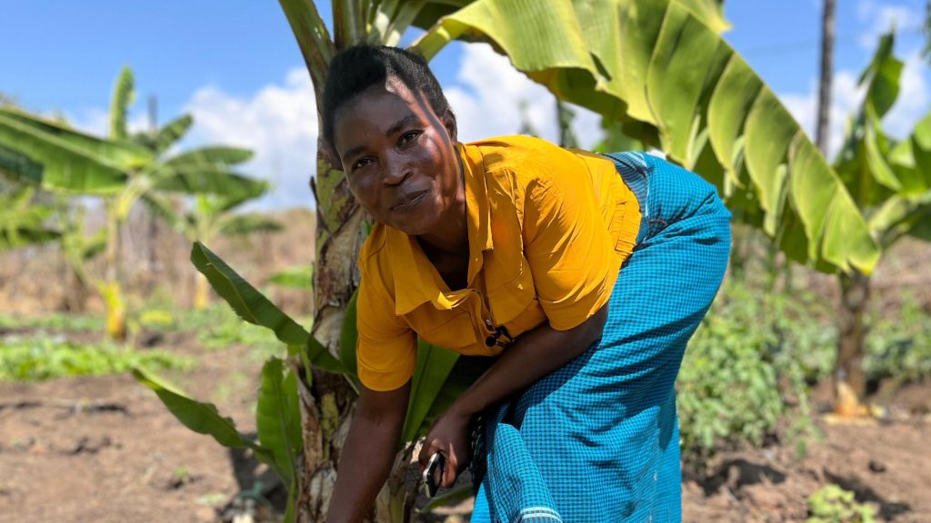 Malawian Woman farmer (Source: BBC)