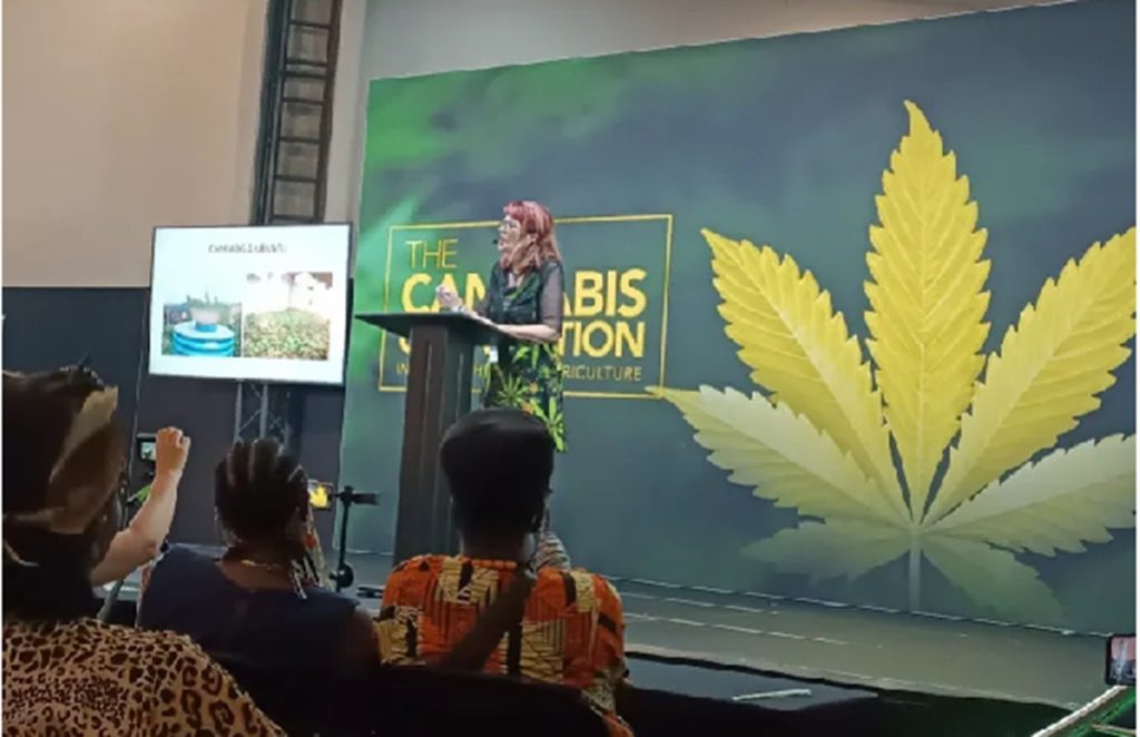 Cannabis Use Now Legalised in South Africa 