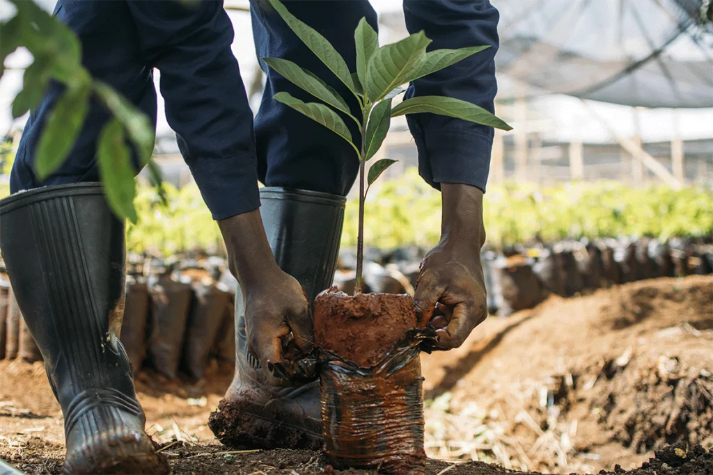 Earth's Biodiversity Crisis: Key Numbers Revealed