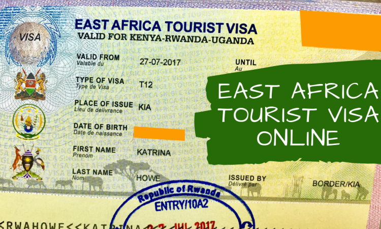 How E-Visas Are Facilitating Africa's Open Borders Vision