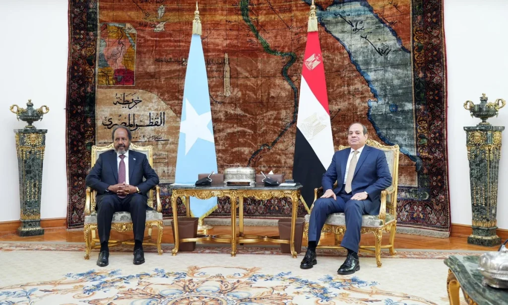 Egypt Issues Travel Warning for Somaliland Over Security Concerns