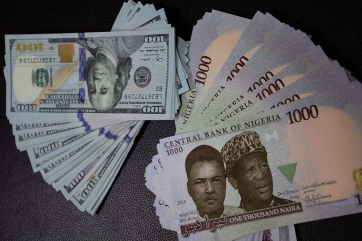 Expert Urges Government to Diversify Currency Usage in International Trade