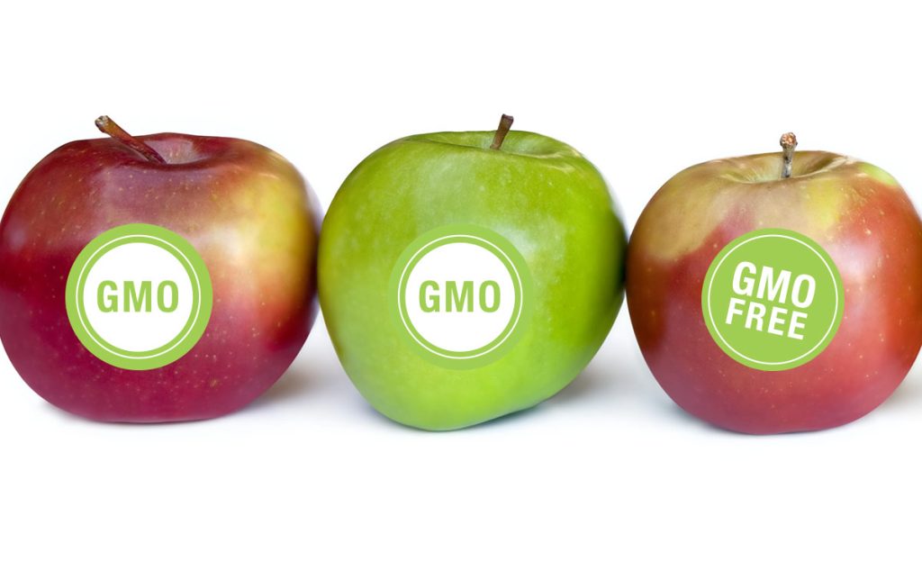 GMOs