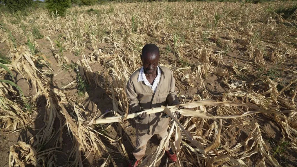 Historic Drought in Southern Africa Leaves Millions Hungry, Warns UN