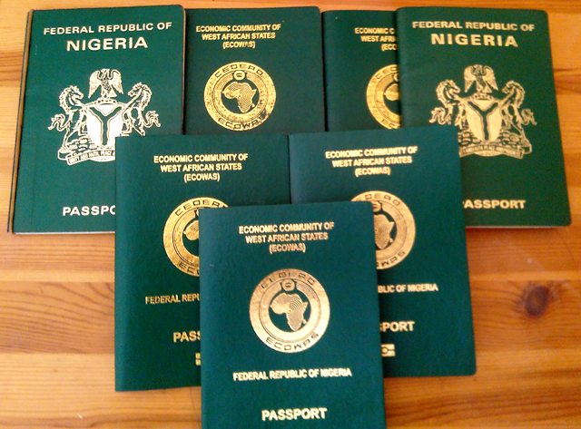 House Committee to Investigate Irregularities in International Passport Issuance in Nigeria