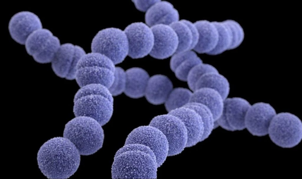 Japan Records 977 Cases of Deadly Flesh-Eating Bacteria (News Central TV)