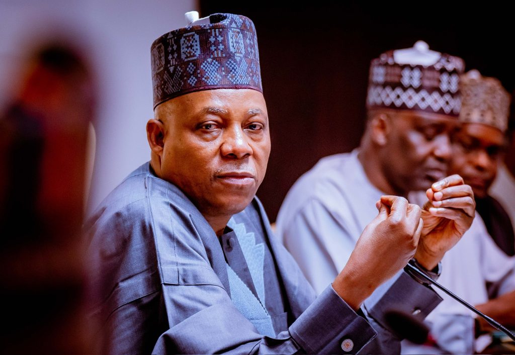 Nigeria's Vice President Shettima Seeks Increased Foreign Support in Job Creation